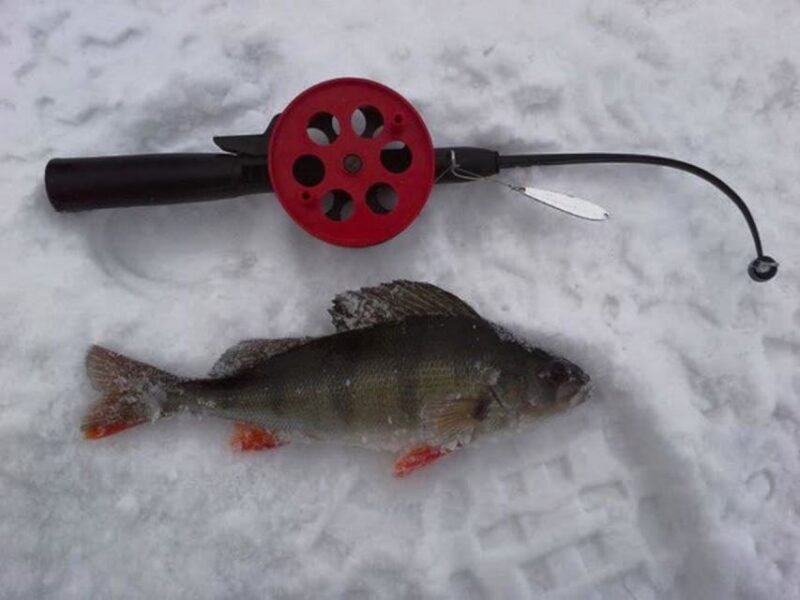 Ruka: Ice fishing trip - Who Is This Tour For?