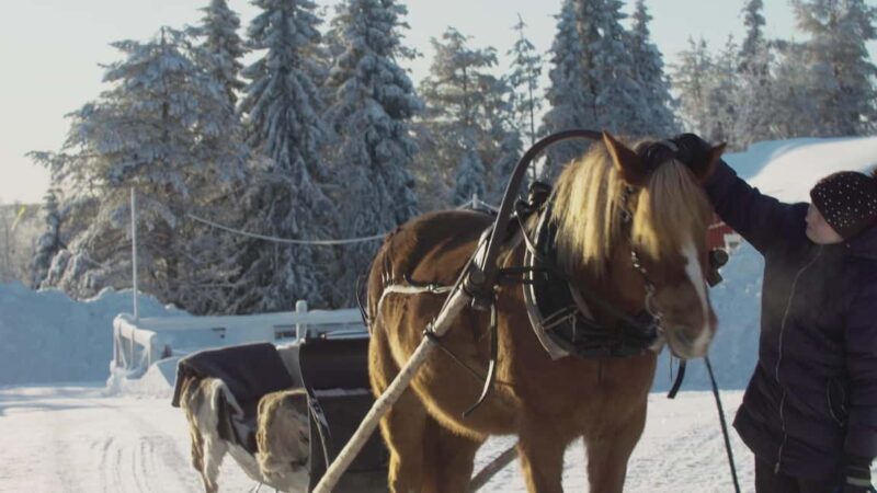 Ruka-Kuusamo: Horse-drawn Sleigh Ride in the Countryside - Key Points