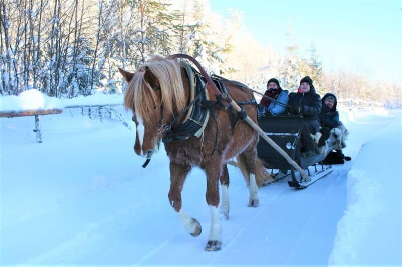 Ruka-Kuusamo: Horse-drawn Sleigh Ride in the Countryside - The Itinerary — What to Expect from Start to Finish