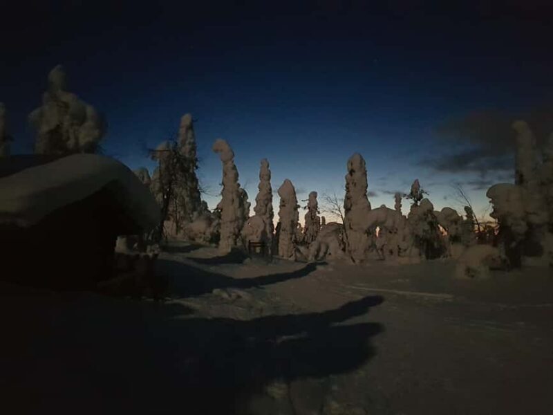 Ruka: Night Snowshoe Hike with Stargazing & Night Sky - Key Points