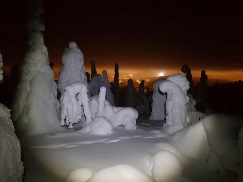 Ruka: Night Snowshoe Hike with Stargazing & Night Sky - What to Expect from the Night Snowshoe Hike in Ruka