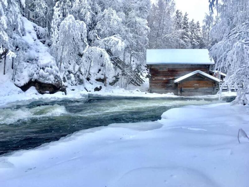 Ruka: Oulanka National Park Snowshoeing Tour - Who Will Love This Tour?