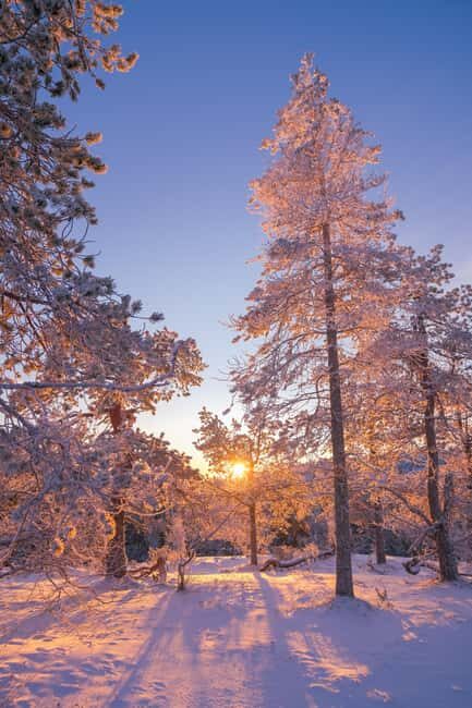 Ruka: Pyhävaara Snowshoeing Tour - Key Points