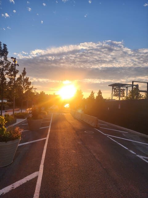 Run, Eat, Explore: NYC's Food & Fitness Adventure - Final Thoughts: Is This Tour for You?