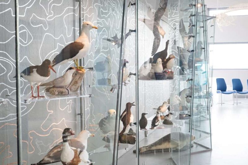 Runde: Guided Tour of Runde Enviromental Centre Exhibition - Why This Tour Works Well