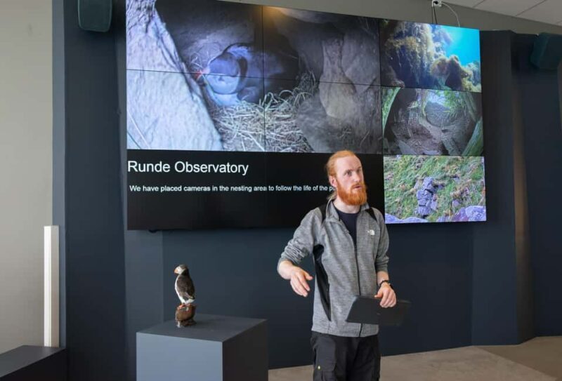 Runde: Guided Tour of Runde Enviromental Centre Exhibition - FAQs