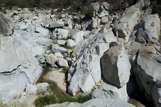 Rural And Hiking Expedition In Sierra La Laguna - Key Points