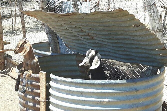 Rural And Hiking Expedition In Sierra La Laguna - FAQ