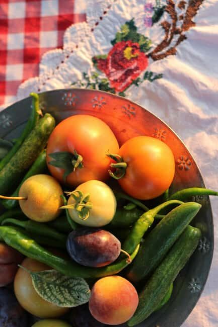 Rural Moldova: Best Yoga Farm Retreat for Soul and Body - Final Thoughts