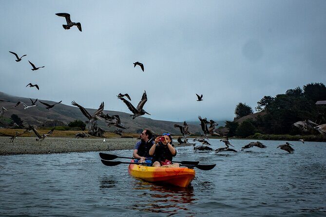 Russian River Kayak Tour at the Beautiful Sonoma Coast - FAQs