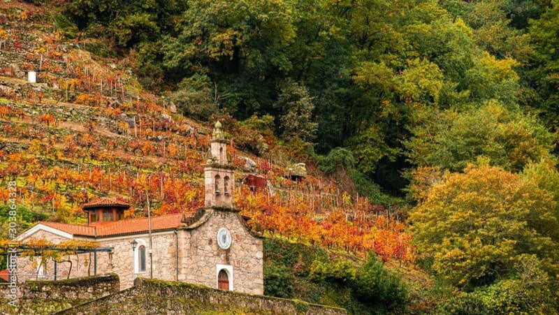 Ruta Ribeira Sacra and Sarria: Between Vineyards, History and the Way of Saint James - Who Should Consider This Tour?