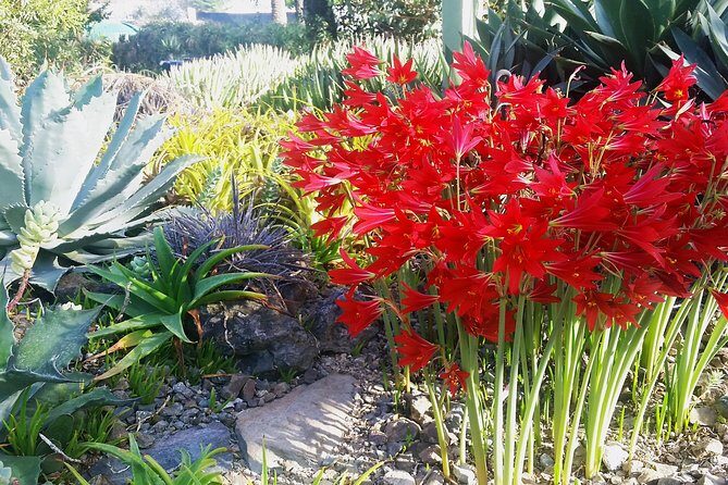 Ruth Bancroft Garden General Admission Ticket - The Sum Up: Who Should Consider Visiting?