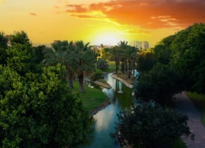 Ruzafa Food & Wine Tour: Tapas, Drinks & Local Secrets - Frequently Asked Questions