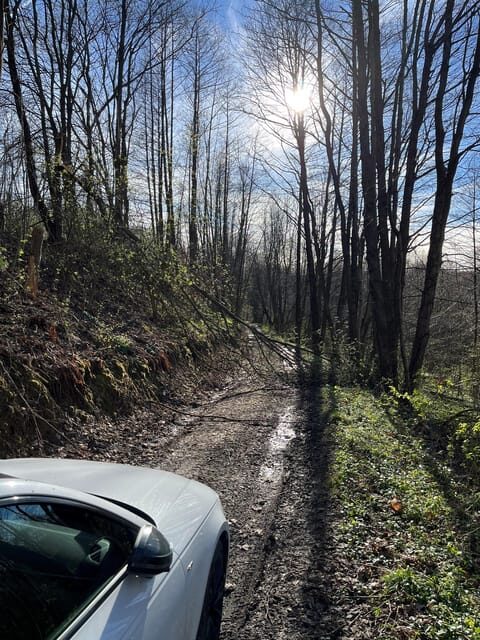 Rzeszów: Countryside trip with bonfire & sausage grilling - A detailed look at what this countryside trip offers