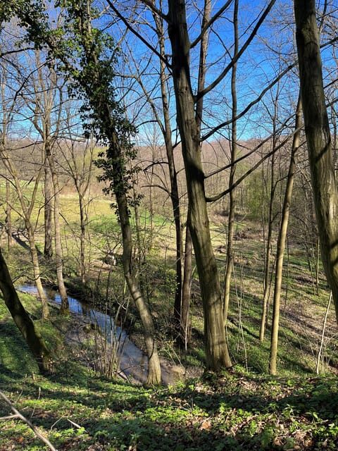 Rzeszów: Countryside trip with bonfire & sausage grilling - Who should consider this trip?