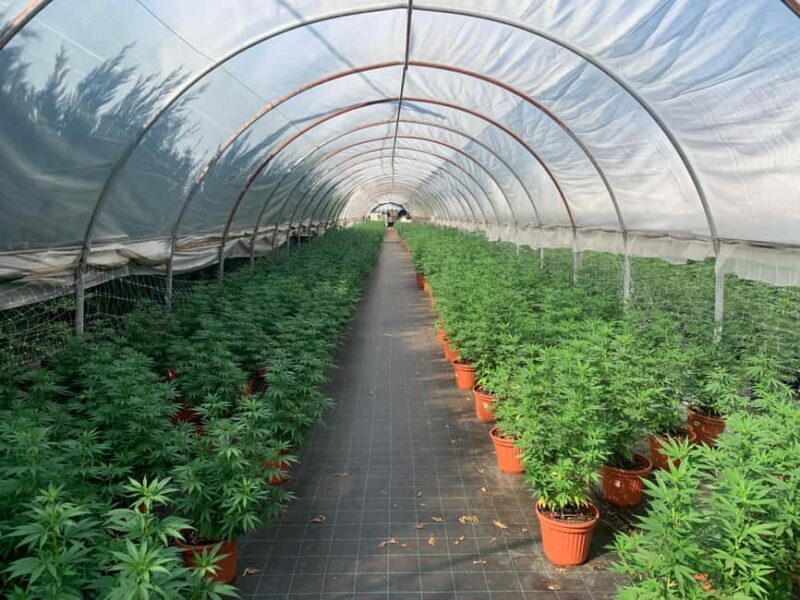 S. Donà di Piave-Jesolo-Hemp & Beer - Nature Tour and Beer Tasting - Key Points