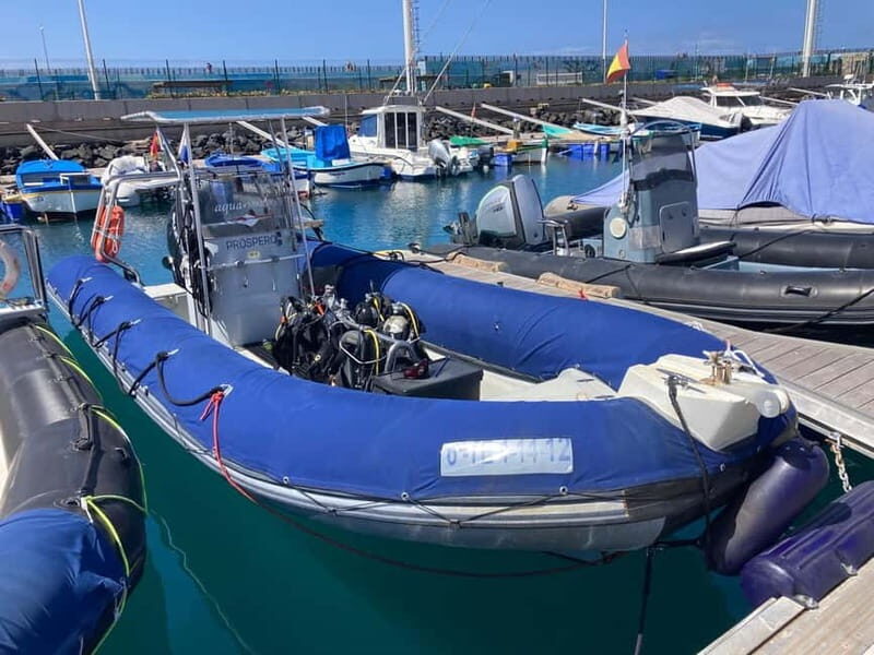 S Tenerife: Guided Boat Dive for Qualified Divers - The Sum Up