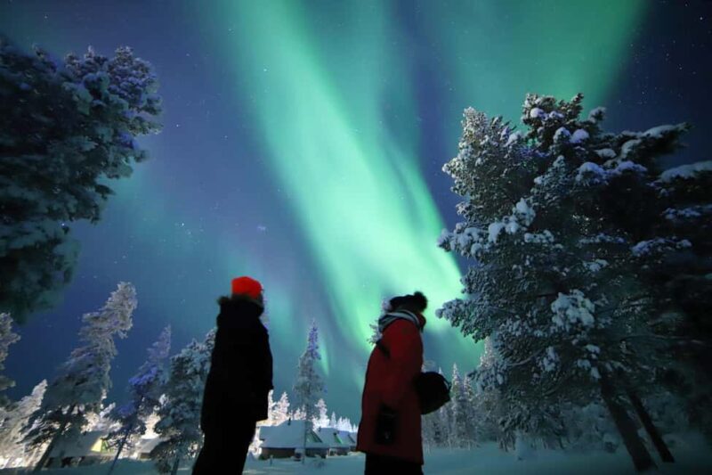 Saariselkä: Aurora Hunting & Reindeer Wilderness Experience - Saariselkä: Aurora Hunting & Reindeer Wilderness Experience – A Honest Look