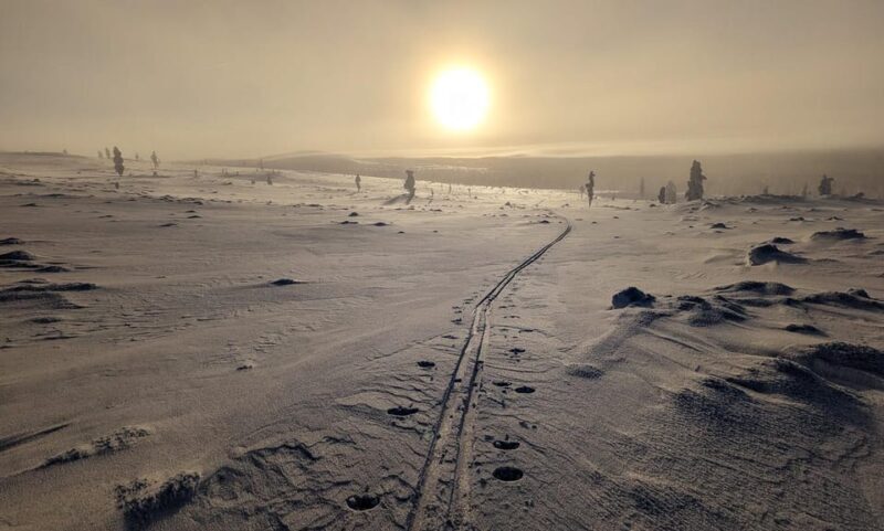 Saariselkä: Back-Country Skiing Guided Tour - Key Points