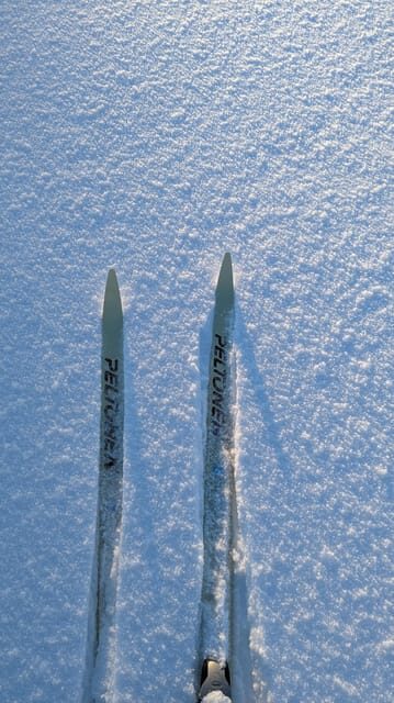 Saariselkä: Back-Country Skiing Guided Tour - Is This Tour Worth the Price?