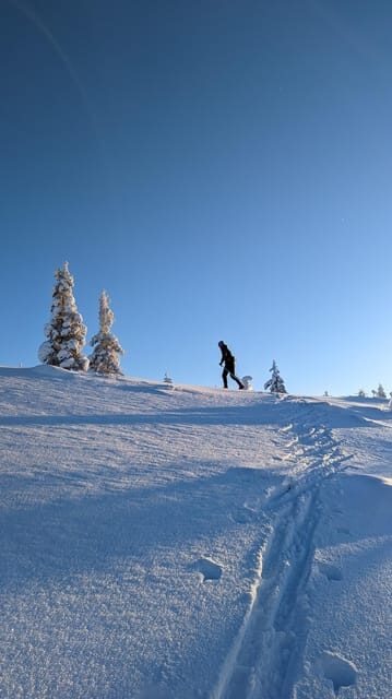 Saariselkä: Back-Country Skiing Guided Tour - Final Thoughts