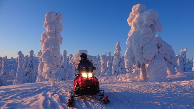 Saariselkä: Evening Snowmobile Tour with Fire & picnic - Exploring the Details of the Tour