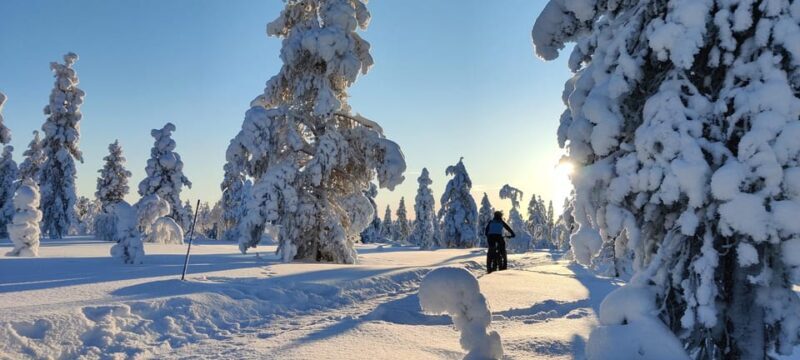 Saariselkä: Guided Fatbike Tour - Key Points