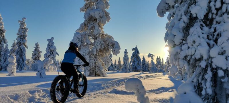 Saariselkä: Guided Fatbike Tour - An Honest Look at the Saariselkä Guided Fatbike Tour