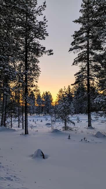 Saariselkä: GUIDED FOREST SNOWSHOE WALK - What Is the Guided Forest Snowshoe Walk?