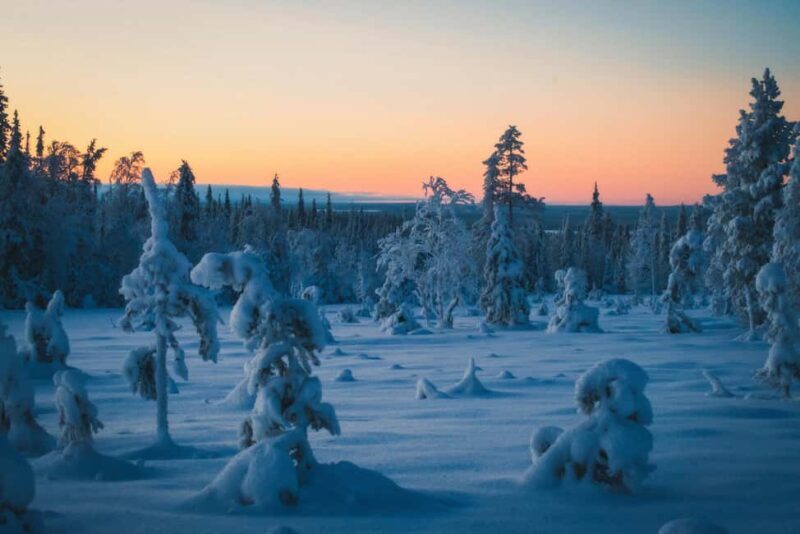 Saariselkä: GUIDED FOREST SNOWSHOE WALK - The Snowshoes and Accessibility