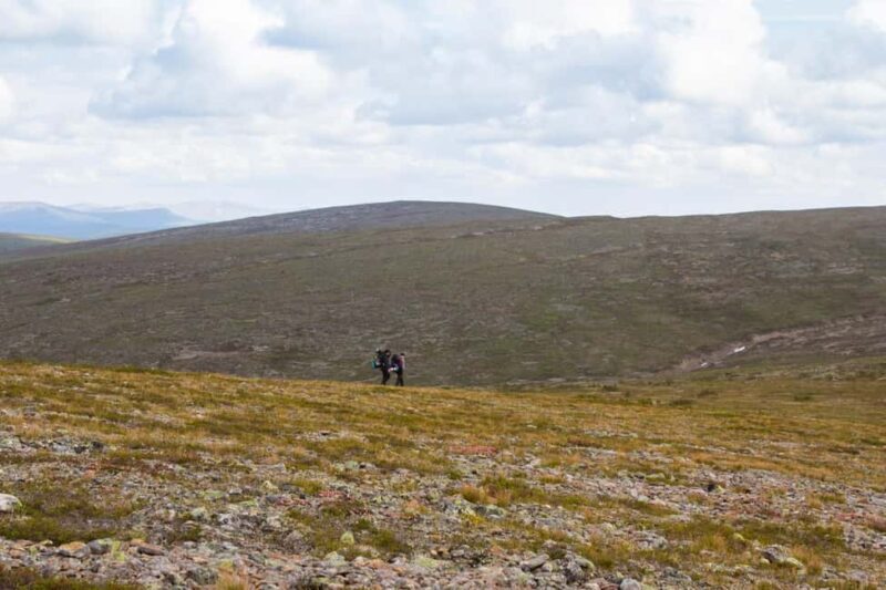Saariselkä: Hiking Day with Lunch in Kiilopää - Who Will Love This Experience?