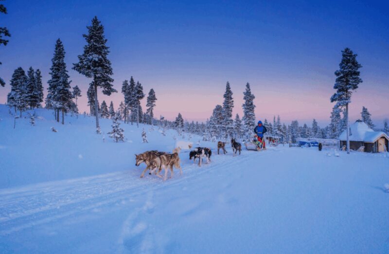 Saariselkä: Husky Safari with Aurora Borealis Hunt - What We Love About This Tour