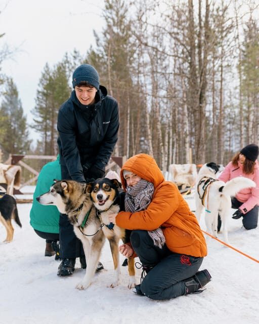 Saariselkä: Husky Safari with kennel visit - Cost and Value