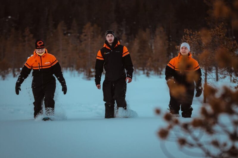 Saariselkä: Northern Lights Hunting Snowshoe Trip - How the Experience Looks on the Ground