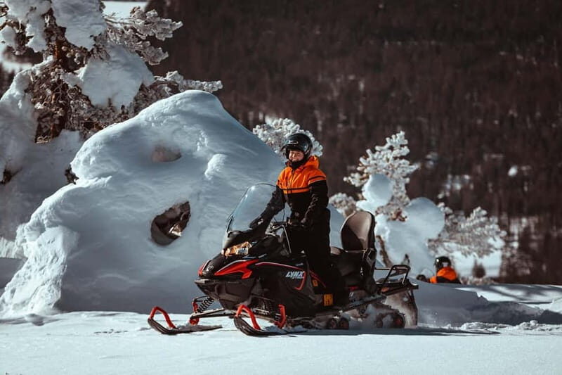 Saariselkä: One Hour Snowmobile Safari - Key Points