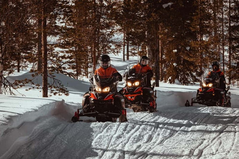 Saariselkä: One Hour Snowmobile Safari - A Closer Look at the Experience