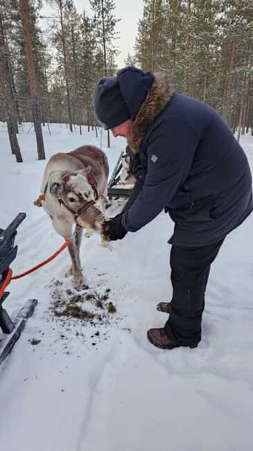Saariselkä : Reindeer Sleigh Ride with Snacks & Hot Drink - Key Points