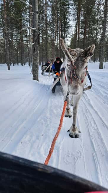 Saariselkä : Reindeer Sleigh Ride with Snacks & Hot Drink - FAQs