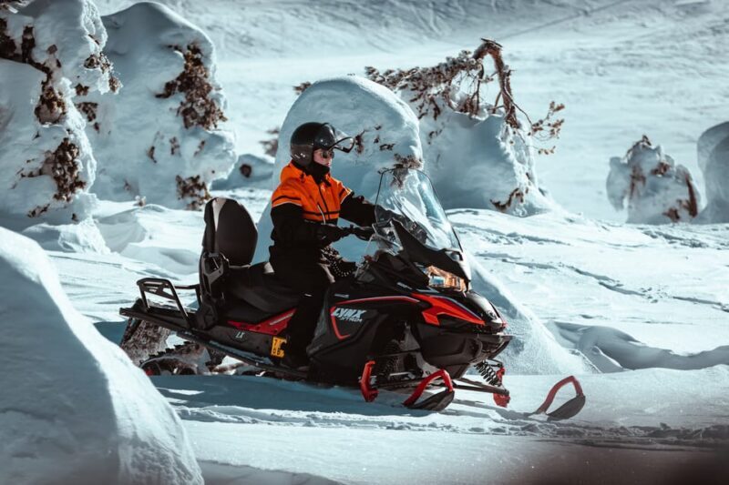 Saariselkä: Snowmobile Ride with Hot Drinks - Who Should Consider This Tour?