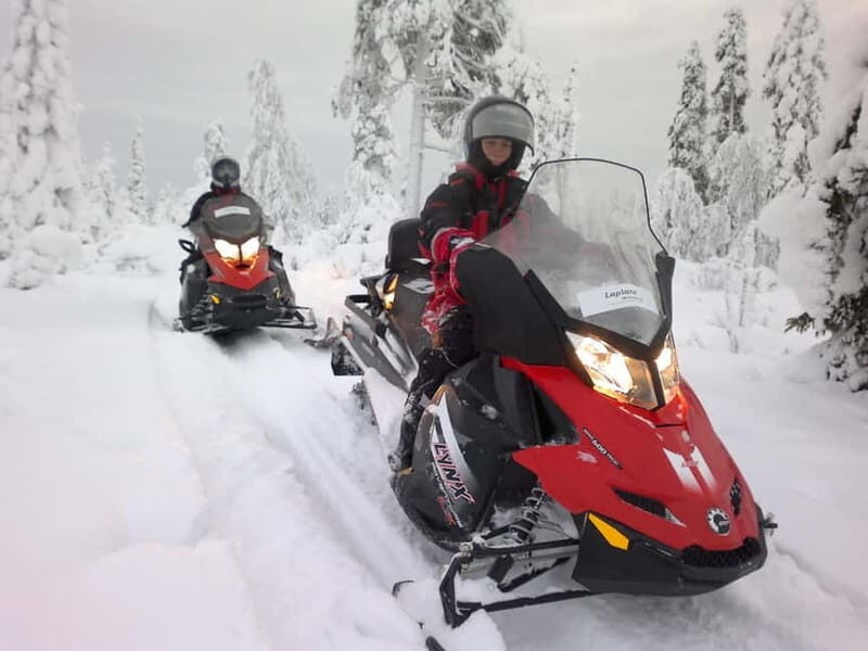 Saariselka: Snowmobile Safari on Tundra with BBQ - The Experience in Context: Value for Your Money