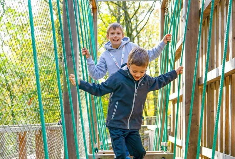 Saarland: Treetop Walk Saarschleife & Lookout Tower - Exploring the Treetop Walk Saarschleife & Lookout Tower