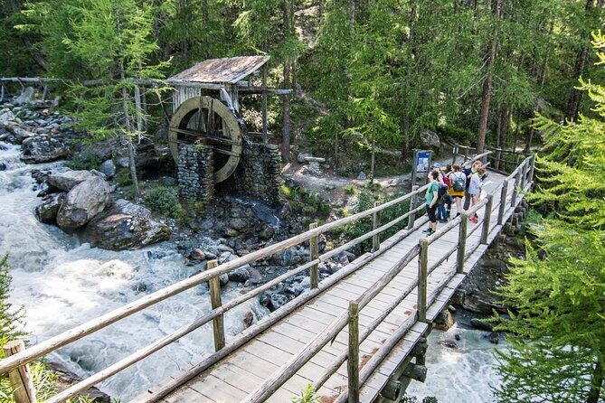 Saas-Fee Foxtrail Allalin - Frequently Asked Questions