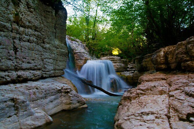 Sabaduri forest, Chronicles of Georgia, wolves and bears Zoo - An Honest Look at the Sabaduri Forest & Chronicles of Georgia Tour
