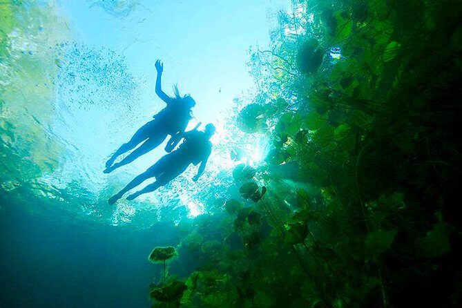 Sacred Adventure at Xenotes! 4 Different Cenotes + Round Transportation - An Honest Review of the Xenotes Tour