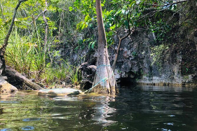 Sacred Adventure at Xenotes! 4 Different Cenotes + Round Transportation - Final Thoughts