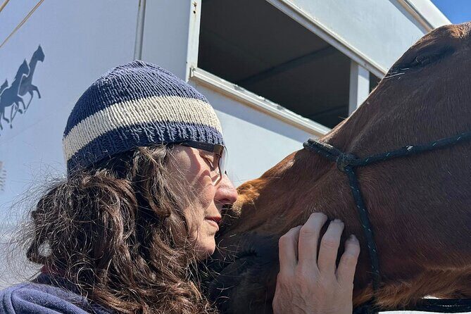 Sacred Horse Medicine Journey near Sedona - The Group and Private Options