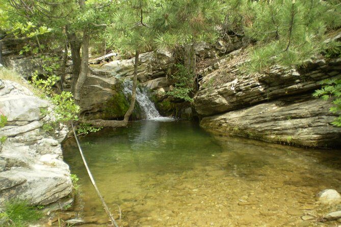 Safari 4x4 in Thassos - What Travelers Say