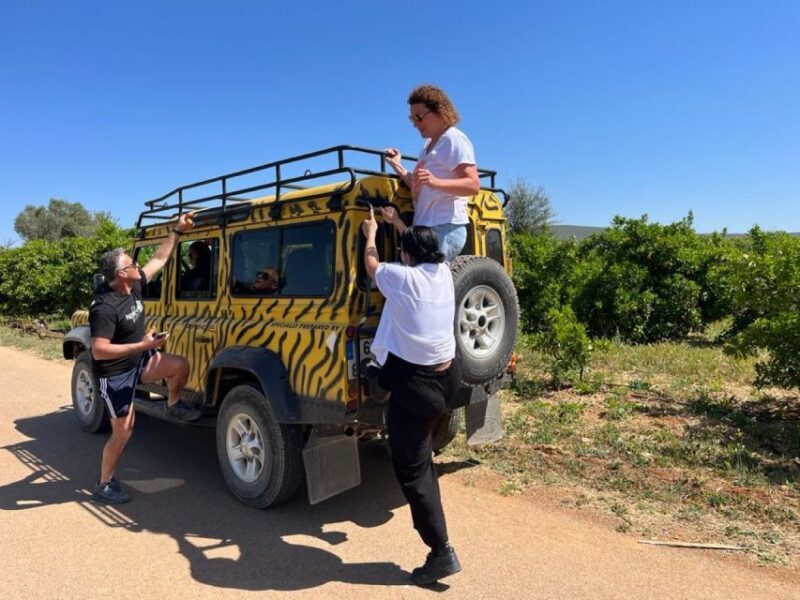 Safari & Boat Tour - Mountains & Dolphins - The Itinerary in More Detail