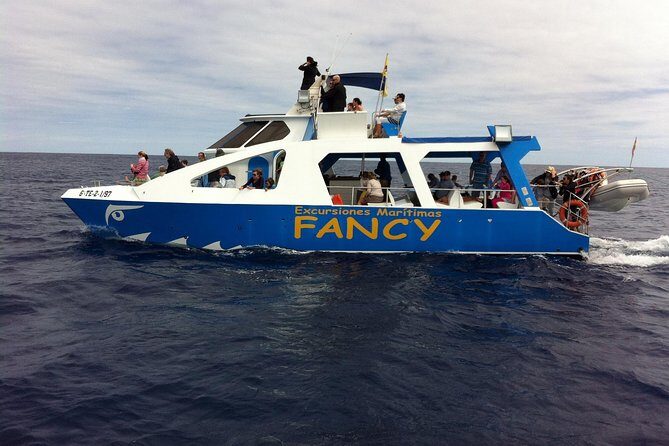 Safari Cumbre Vieja - Key Points