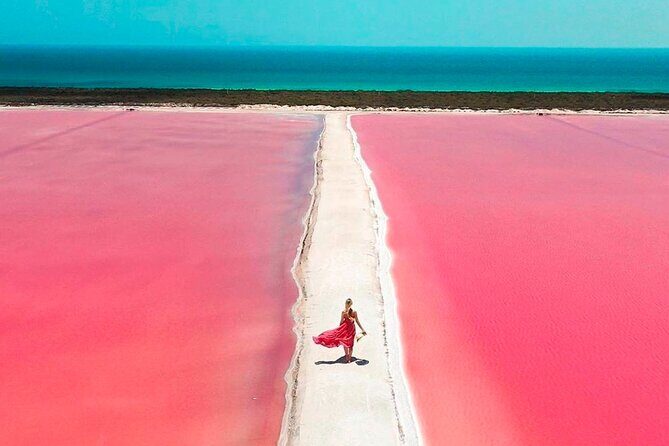 Safari in Rio Lagartos, Coloradas and Mayan Bath - Included Meals and Extras